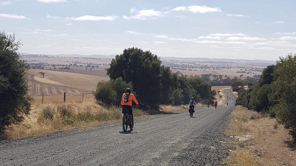 Lavender Cycling Trail (M2C) - Clare to Waterloo descent on Watervale Road