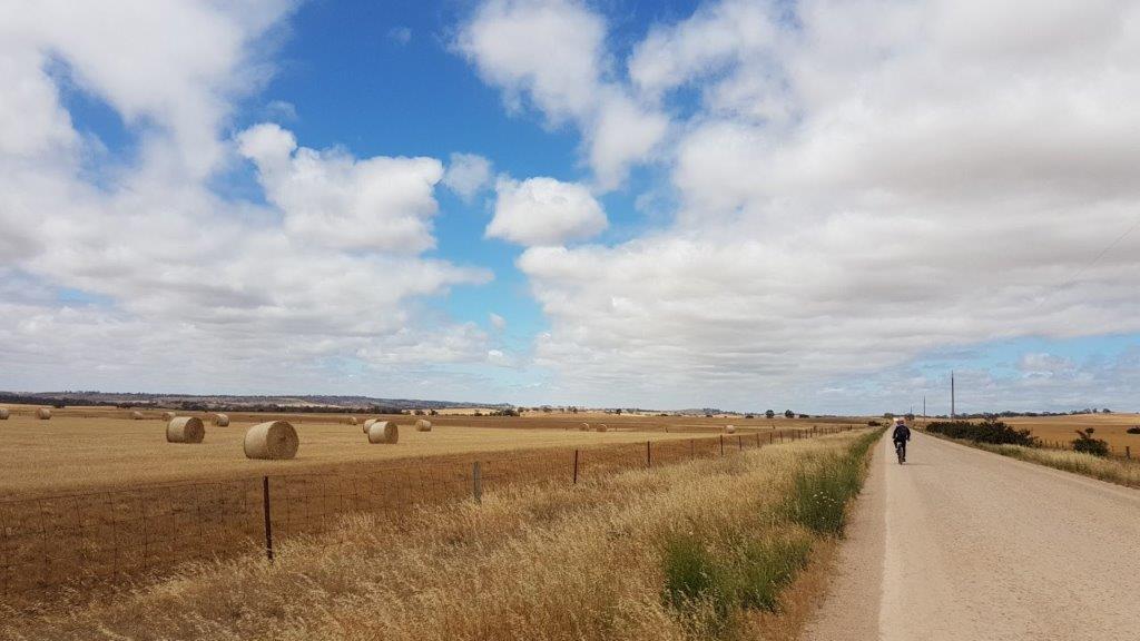 Lavender Cycling Trail (M2C) - Eudunda to Truro - Dutton Mail Run in Spring