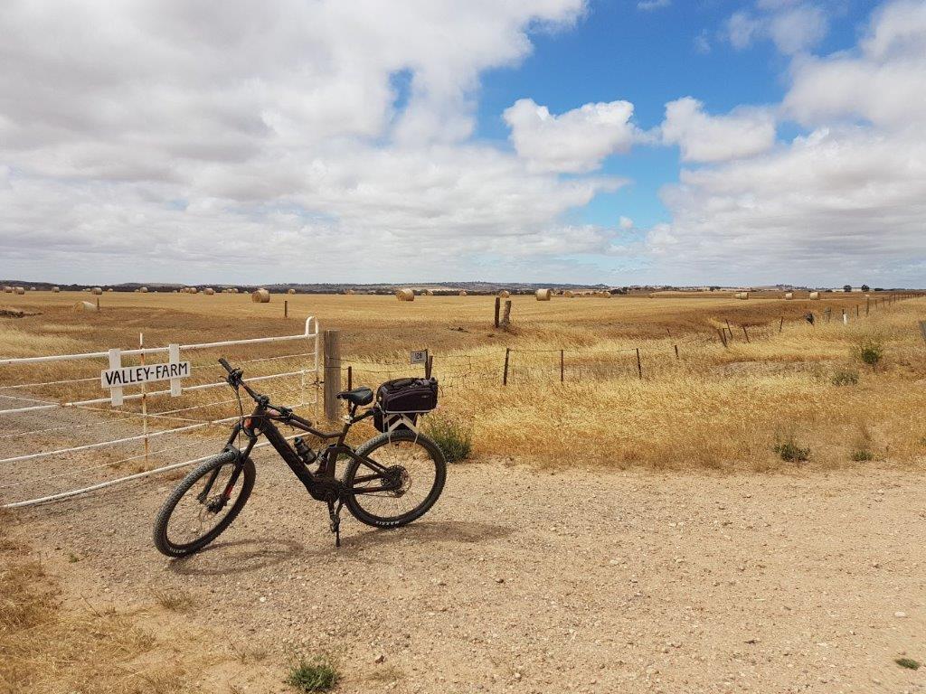 Lavender Cycling Trail (M2C) - Eudunda to Truro - Gate on the Dutton Mail Run