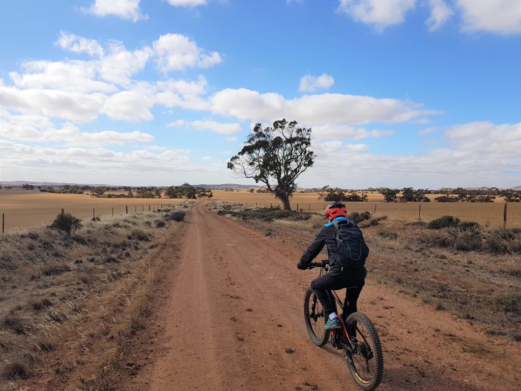 Lavender Cycling Trail (M2C) - Eudunda to Truro - Rural Road South of Eudunda