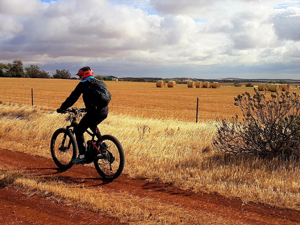 Lavender Cycling Trail (M2C) - Eudunda to Truro - Rural Scene South of Eudunda