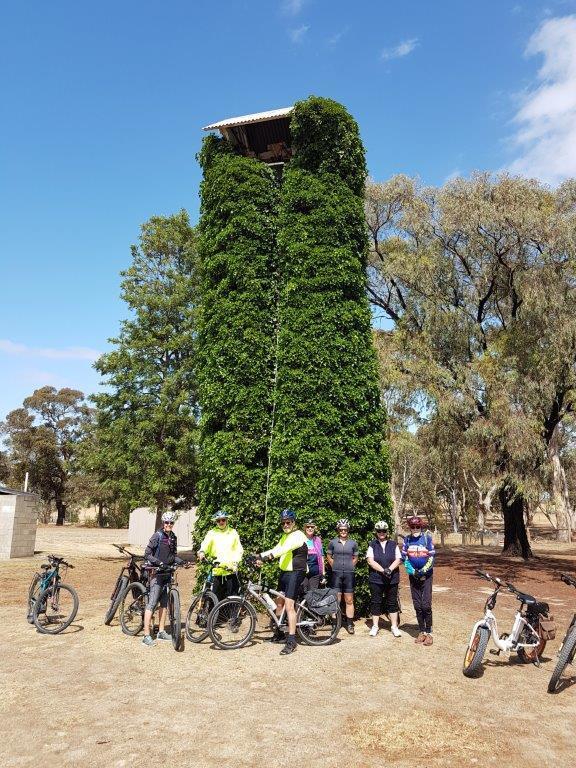 Lavender Cycling Trail (M2C) - Truro to Eden Valley - Bell tower at North Rhine St Peter’s Lutheran Church