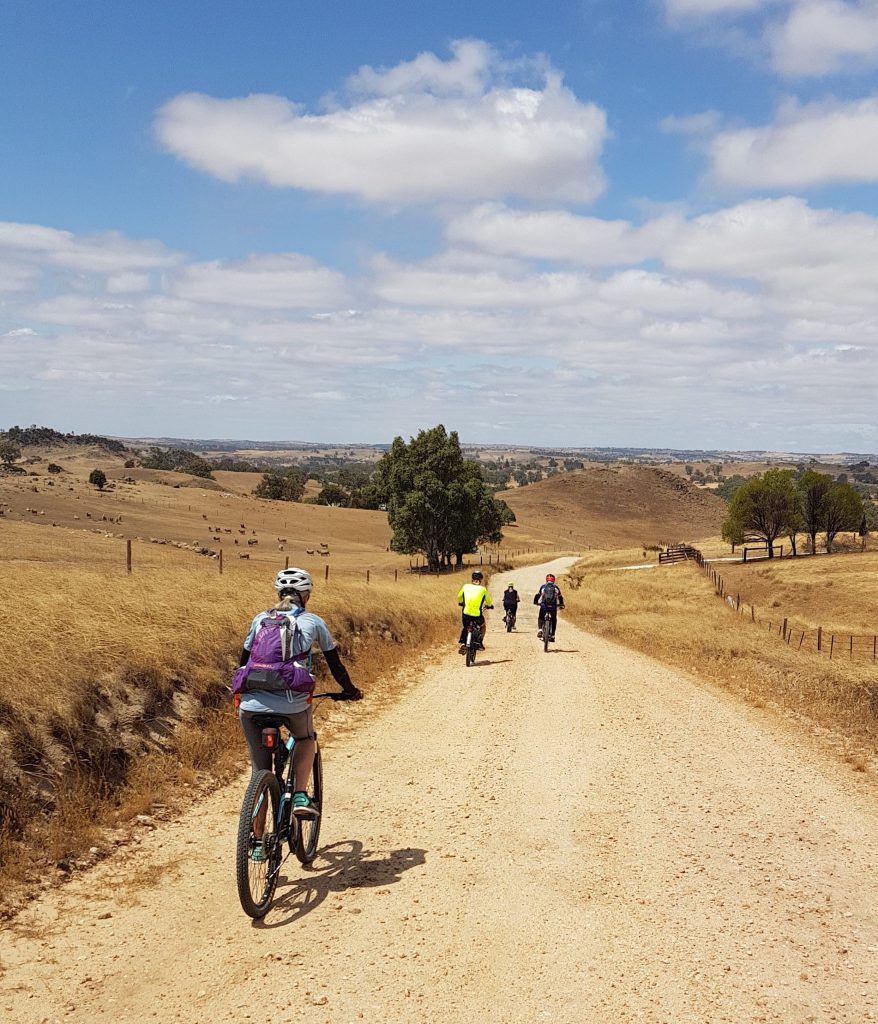 Lavender Cycling Trail (M2C) - Truro to Eden Valley - Coming over a crest on Keynes Hill Road