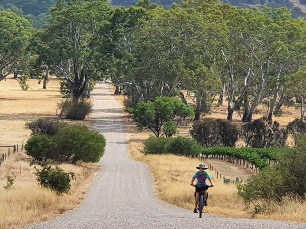 Lavender Cycling Trail (M2C) - Truro to Eden Valley - Heading for Eden Valley - photo by Derek