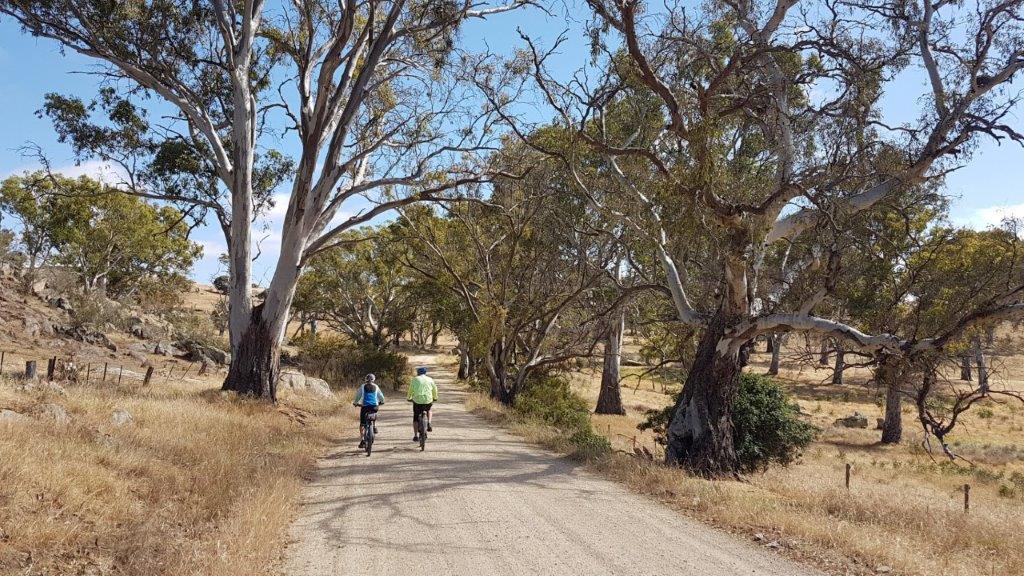 Lavender Cycling Trail (M2C) - Truro to Eden Valley - Rocky outcrops on Keynes Hills Road