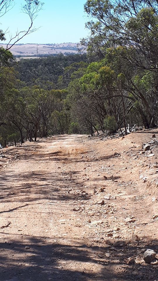 Lavender Cycling Trail (M2C) Waterloo to Eudunda - Eastern Side of Webbs Gap Photo by Kay Haarsma