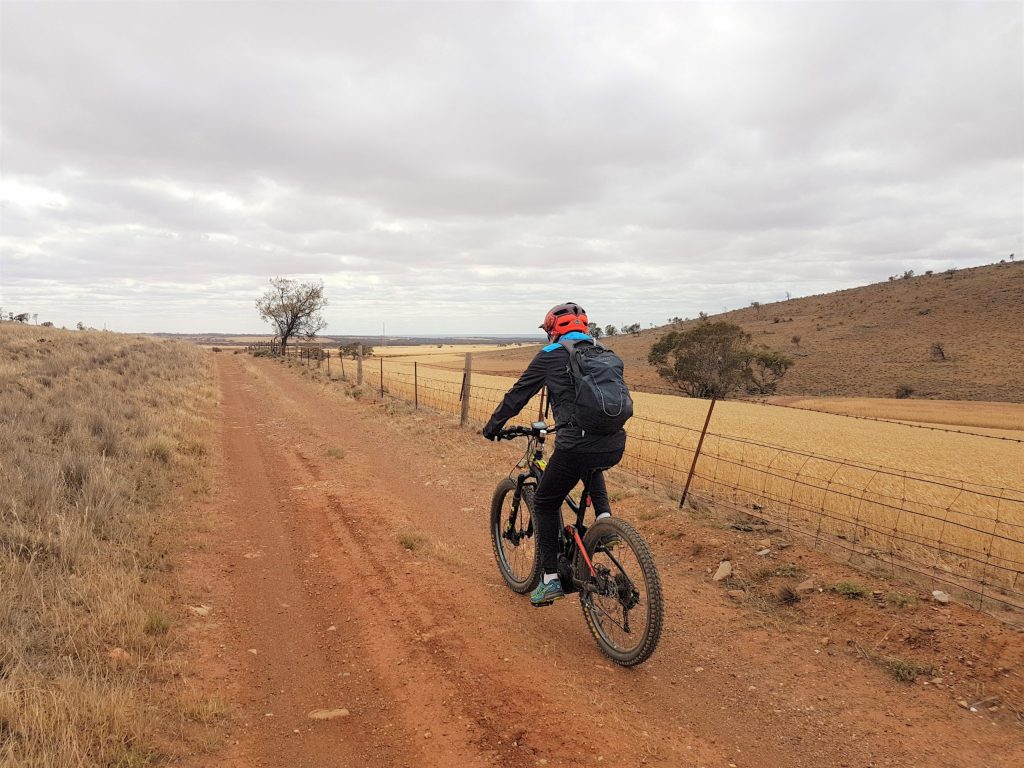 avender Cycling Trail (M2C) - Eudunda to Truro - on Rocky Road