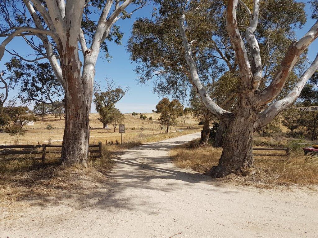 Lavender Cycling Trail (M2C) - Eden Valley to Mount Pleasant - Moss Smith Road