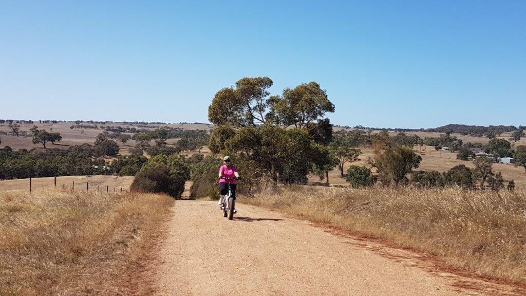 Lavender Cycling Trail (M2C) - Eden Valley to Mount Pleasant - N Herbig Road