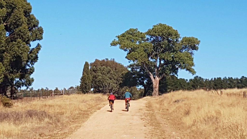 Lavender Cycling Trail (M2C) - Eden Valley to Mount Pleasant - Near Mount Pleasant