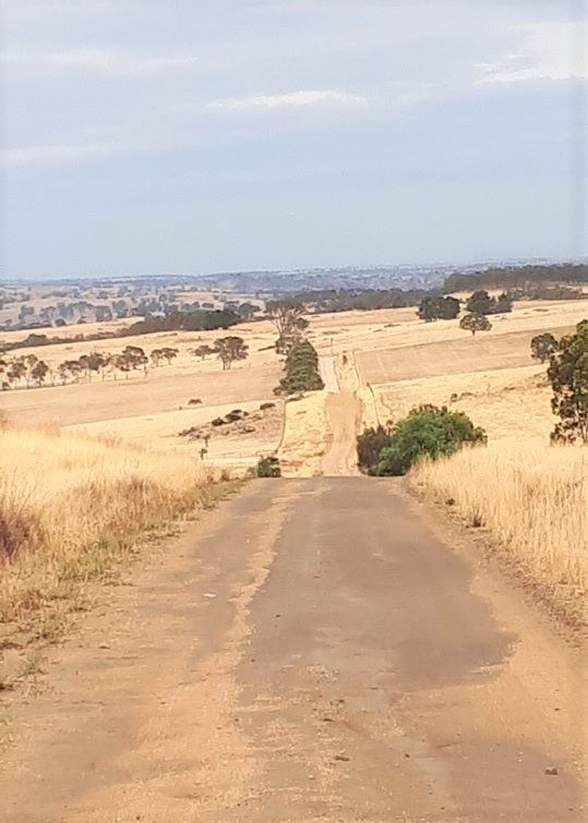 Lavender Cycling Trail (M2C) - Eden Valley to Mount Pleasant - Verrals Road - Photo by Kay Haarsma