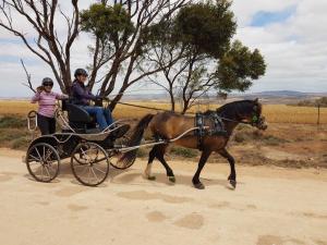 Lavender Cycling Trail (M2C) - Mount Pleasant to Murray Bridge - Highland Road