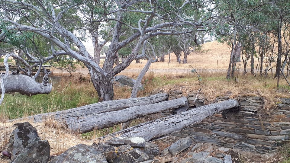 Lavender Cycling Trail (M2C) - Mount Pleasant to Murray Bridge - old bridge – photo by Kay Haarsma