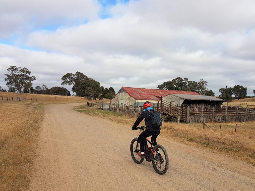 Lavender Cycling Trail (M2C) - Mount Pleasant to Murray Bridge - riding past Hoads Woolshed