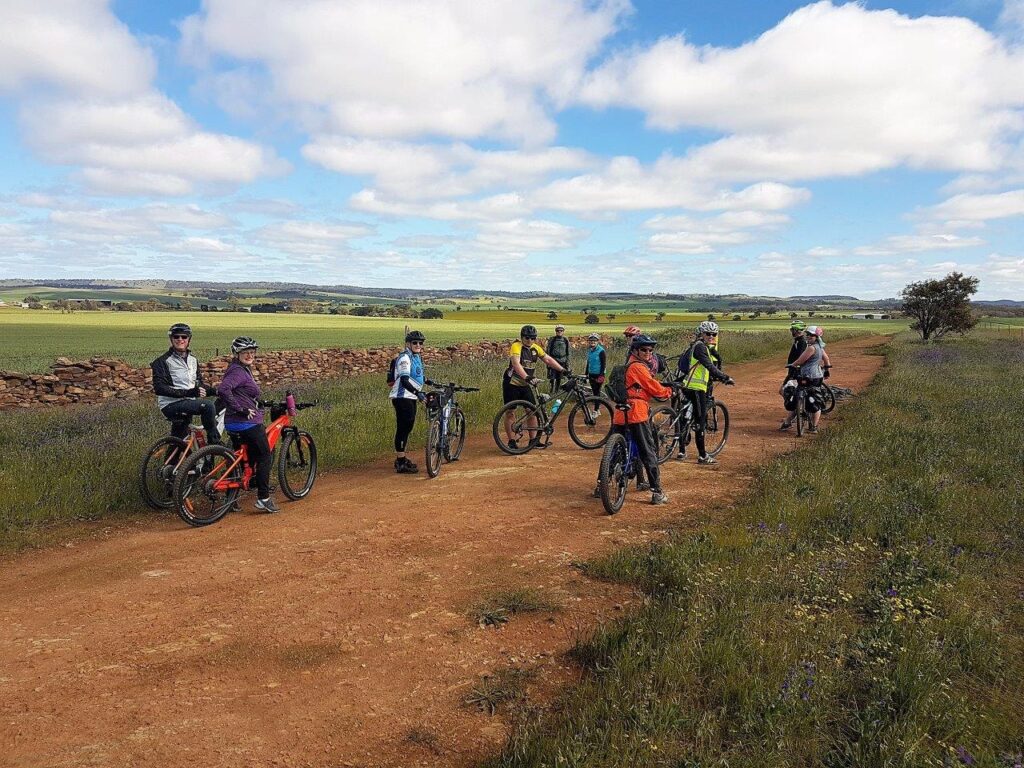 Historic stone fence on Scenic Road