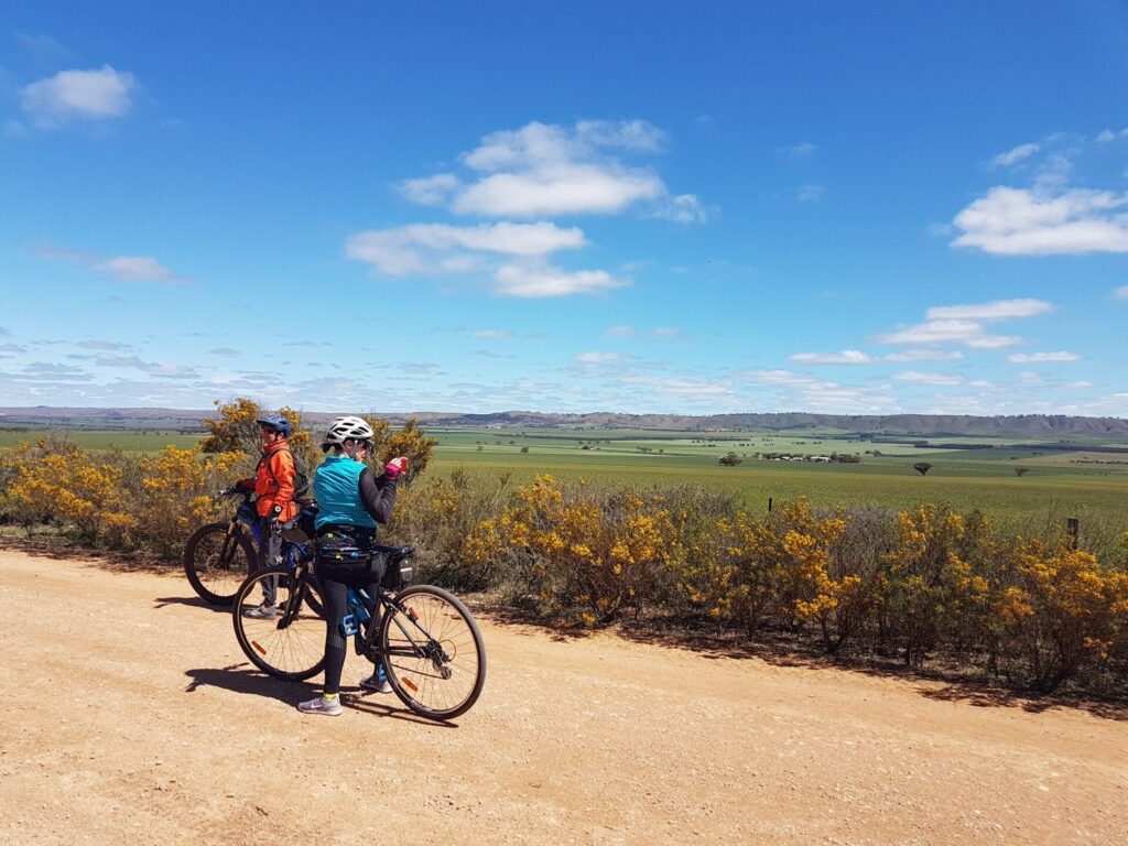 View towards the Bluff Range